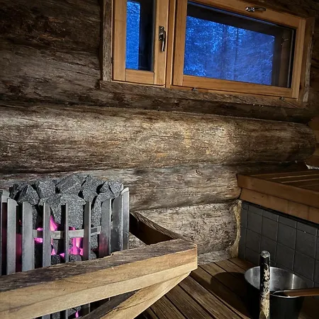 Chalet Aurora Forest Yllaes