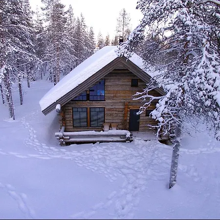 Aurora Forest Yllaes Akaslompolo