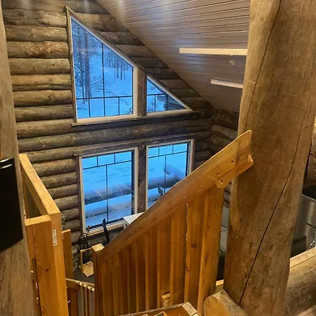 Aurora Forest Yllaes