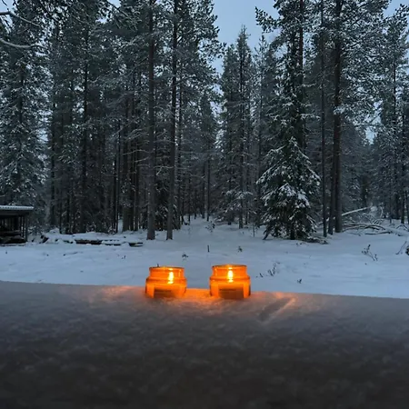 Chalet Aurora Forest Yllaes